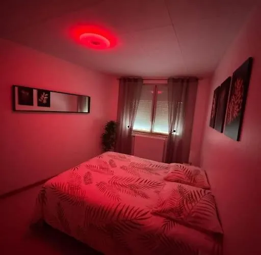 Luxury - Havre De Paix Avec Jacuzzi Prive Bar-le-Duc